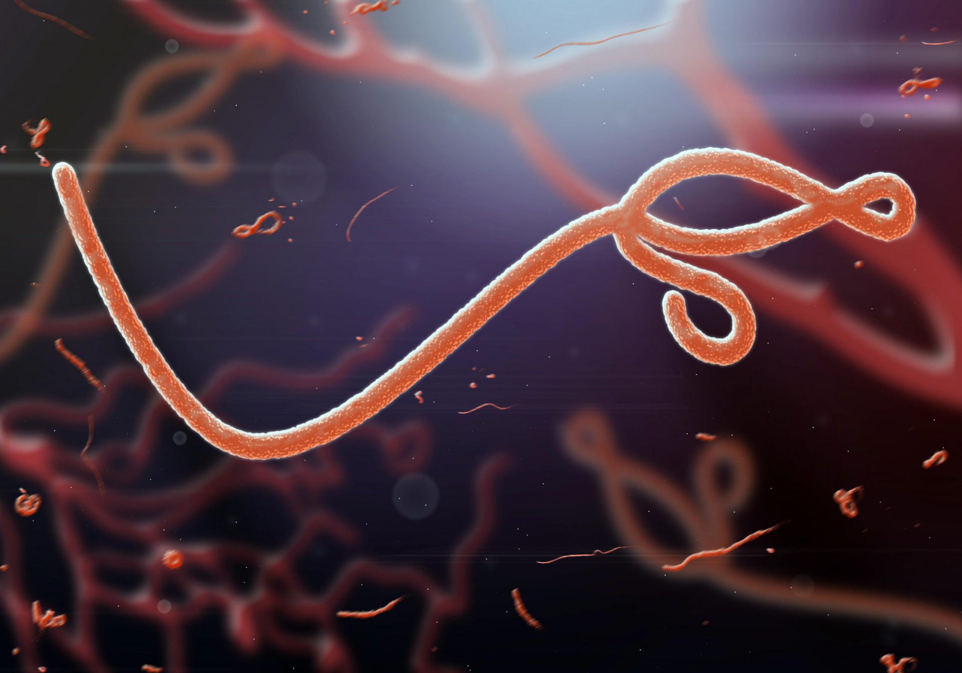 Ebola uitbraak Oeganda