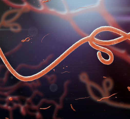 Ebola uitbraak Oeganda