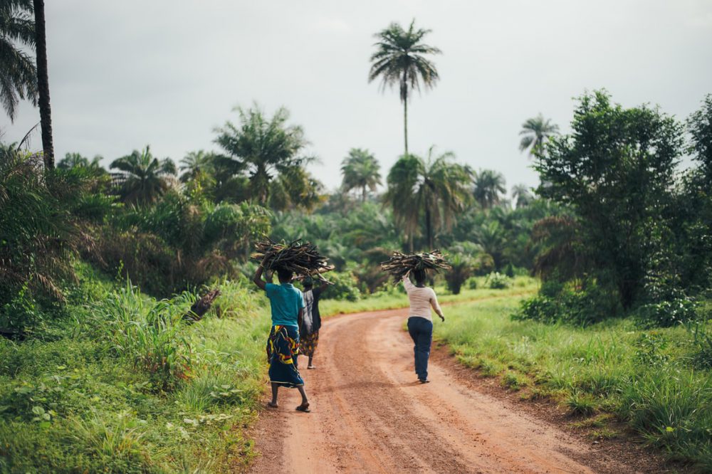 gambia