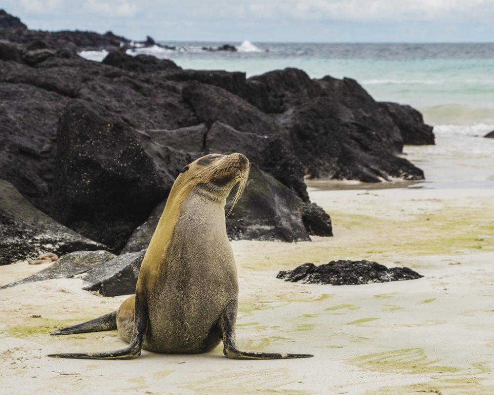 Galapagos Eilanden