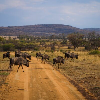 Afbeelding zonder ALT